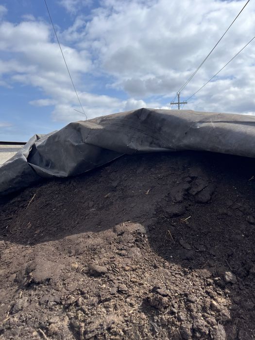 Перегной навоз газель самосвал