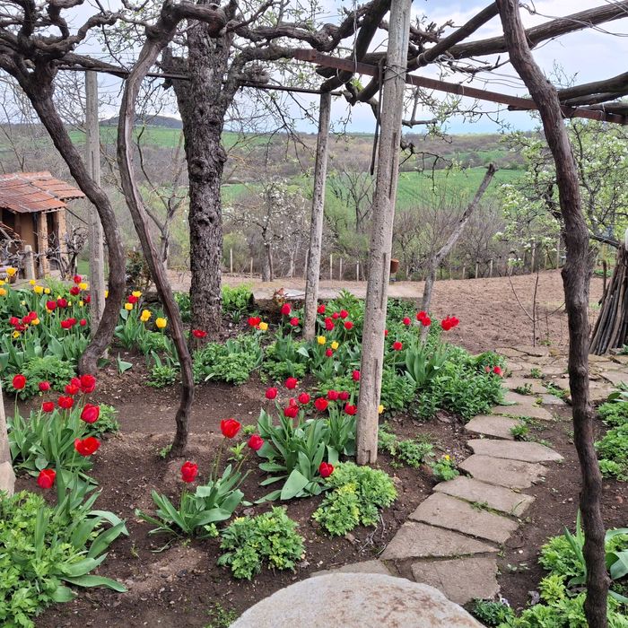 Продава се Къща в с. Сърцево, Област Сливен - 80 кв.м за 223 €/кв.м - Снимка #3