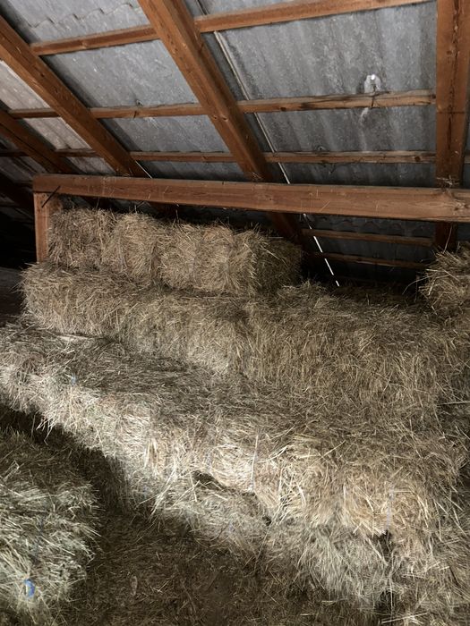 Vând baloti fân din