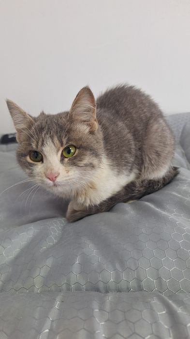 В добрые руки  девочка