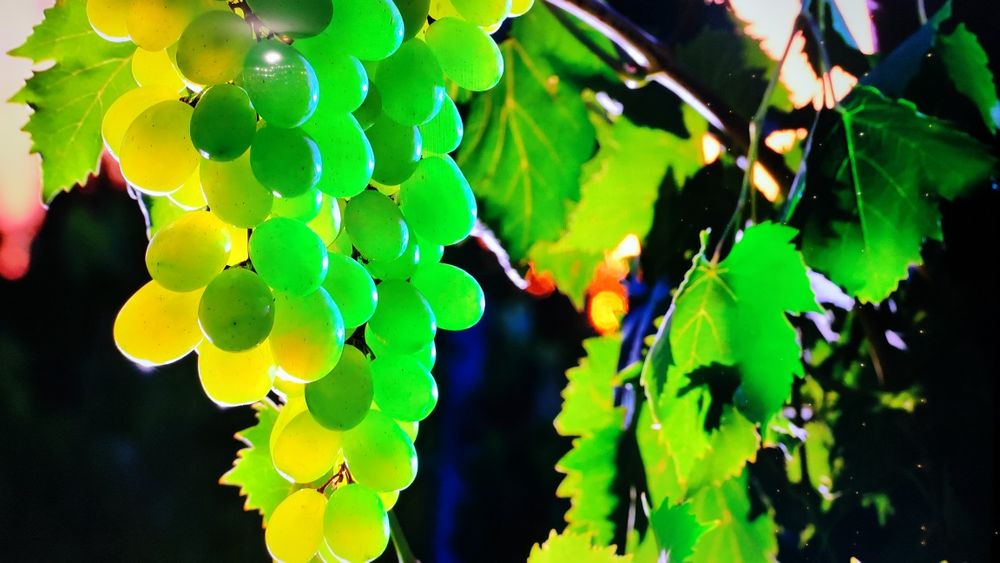 Настоящий 4к LG диагональ 70ка