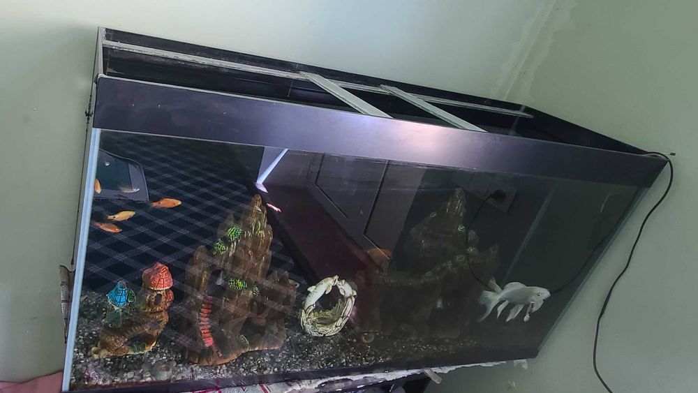 Аквариум 120/60/37