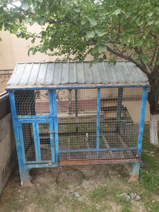 Tovuqlar uchun Katak