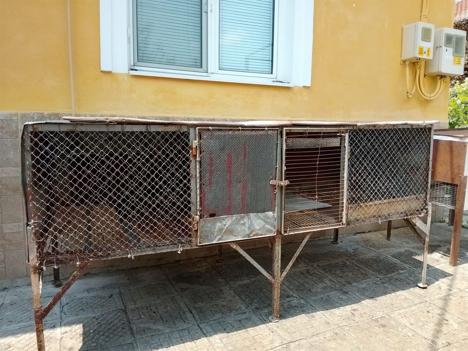 Зайчарници 3 броя