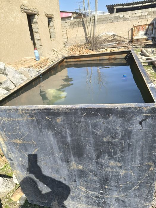 4 Лик лисдан ясалган бак сотилади