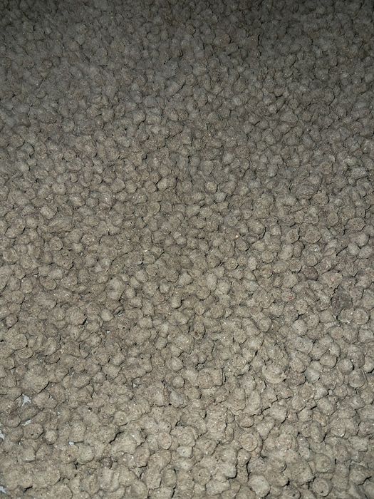 Экстродрда пишиб чикган ем