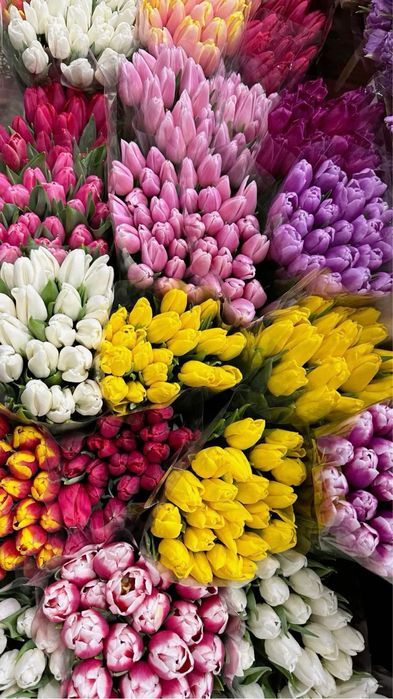 цветы на 8 марта