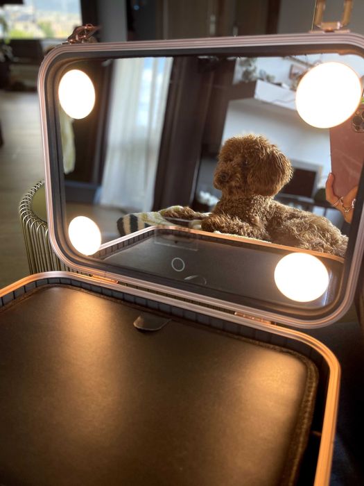 ОРИГИНАЛНА чанта за грим бижута органайзер огледало лампи розова бяла