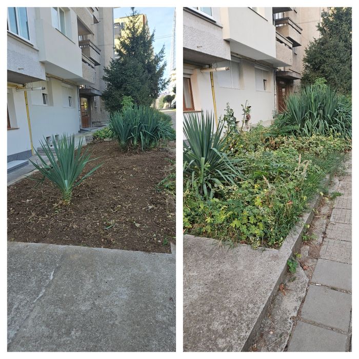 Градинарски услуги с професионална техника!