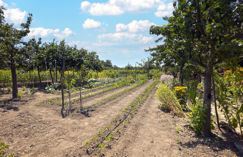 Продава се Къща в с. Нейково, Област Добрич - 105 кв.м за 351 €/кв.м - Снимка #20