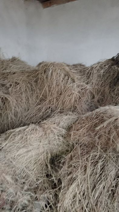 Пичан боглами 25000