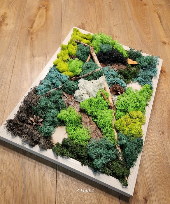 Картини със скандинавски мъх