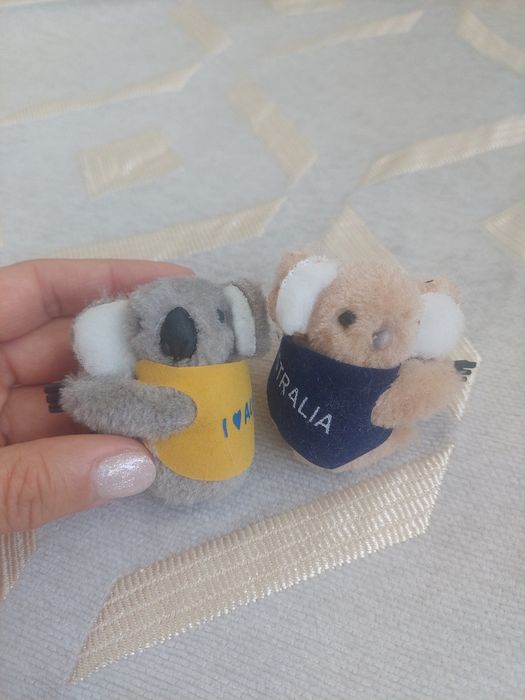 Отдам бесплатно.