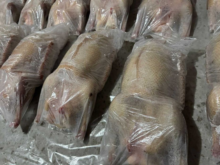 Мясо гуся        .