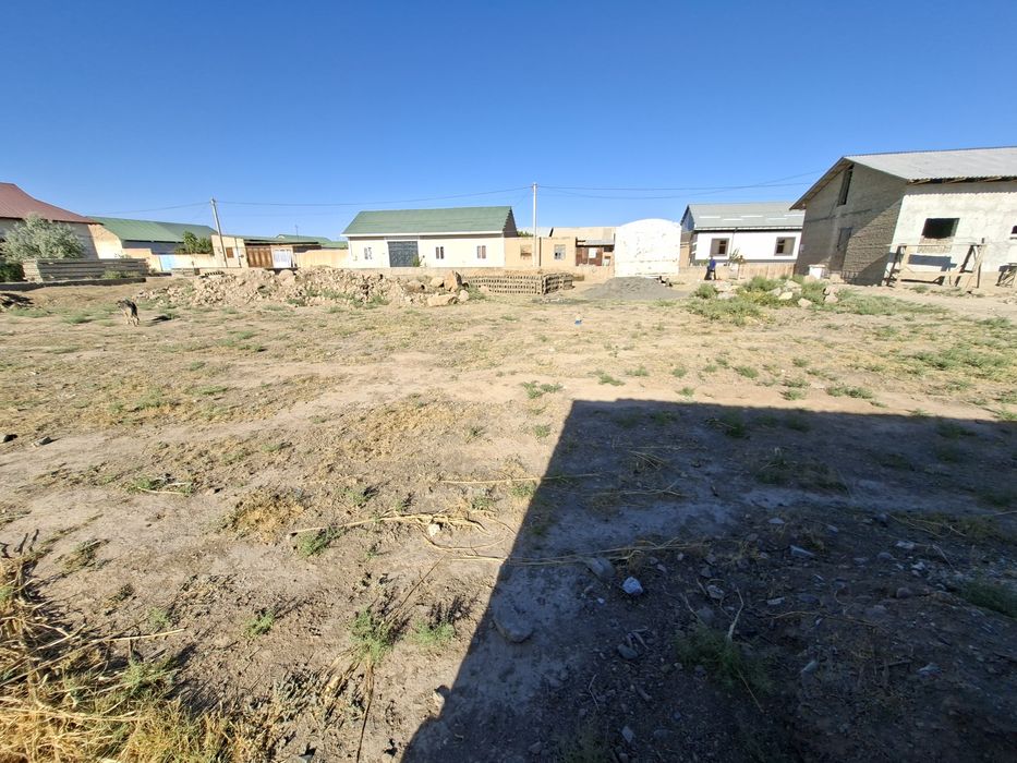 Предпоказ участка с Домом