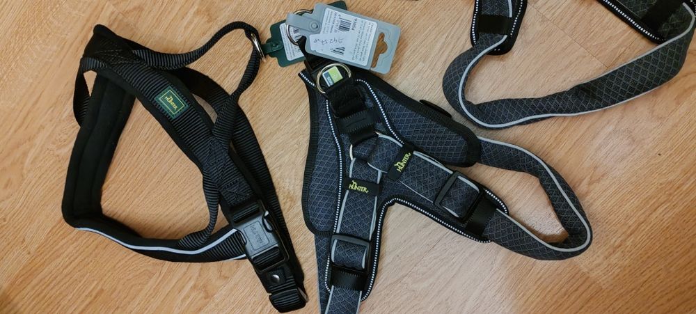 Hamuri Caini  Lesa Zgarda