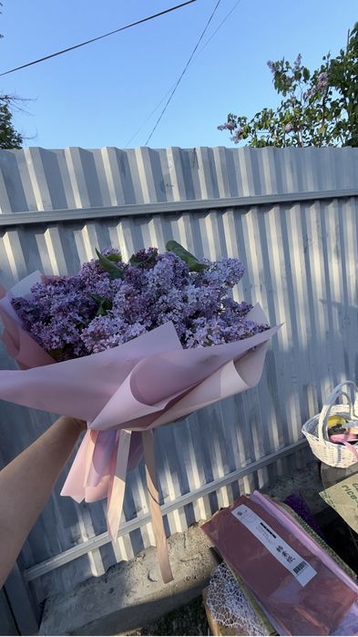 Сирень аррельская