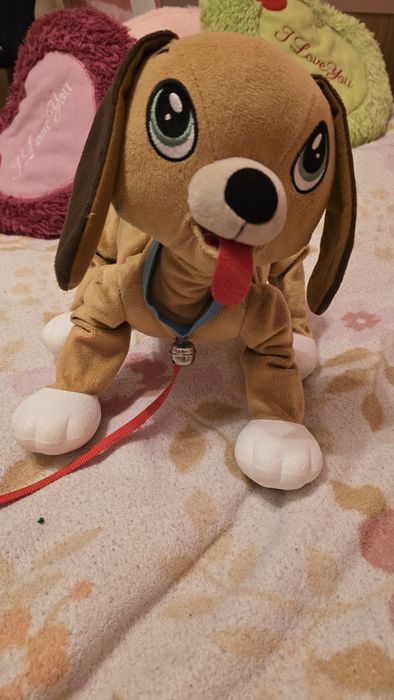 Caine de plus Boogie, Eppe