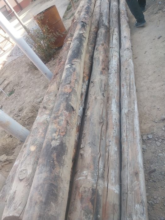 Дом и сад олх сарыагаш