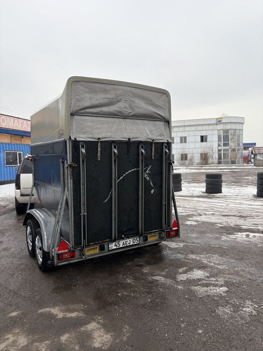 Коневоз Böckmann