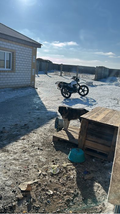 Продам мото  каршыга