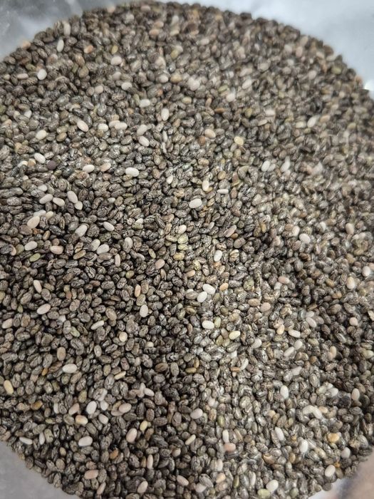 Продам семена чиа