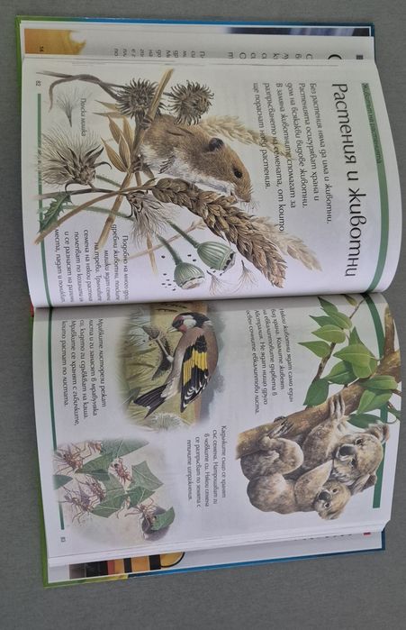 Книги за любознателни деца