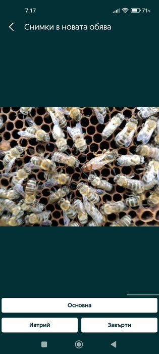 Кошери и отводки