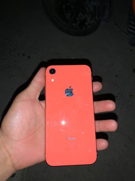 Xr radnoy garantiya bor