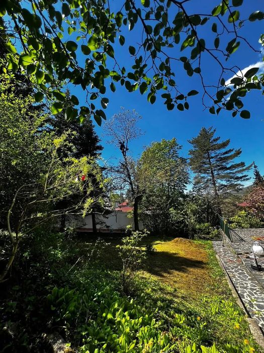 Рязане,Косене,Извозване