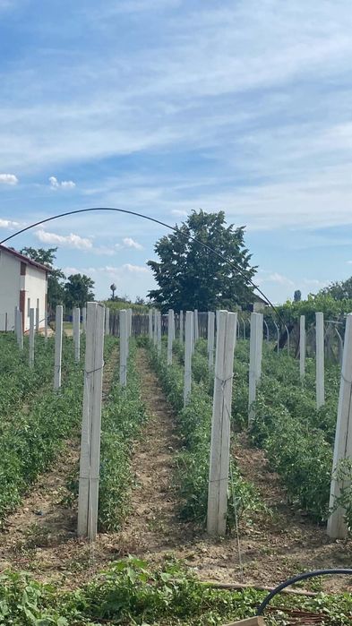 Stâlpi / Șpalieri de beton NOI
