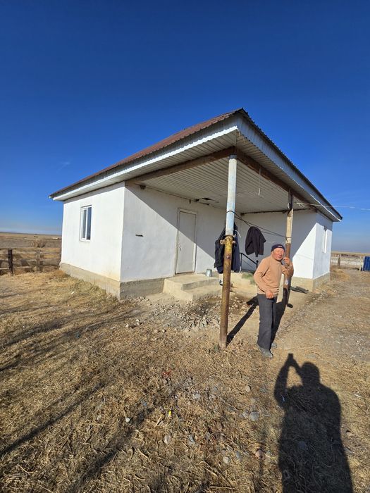 Фазенда мал шаруашылығына