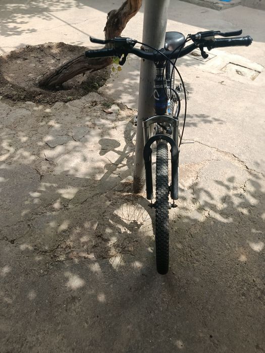 Velik 24 razmer skarasnoy