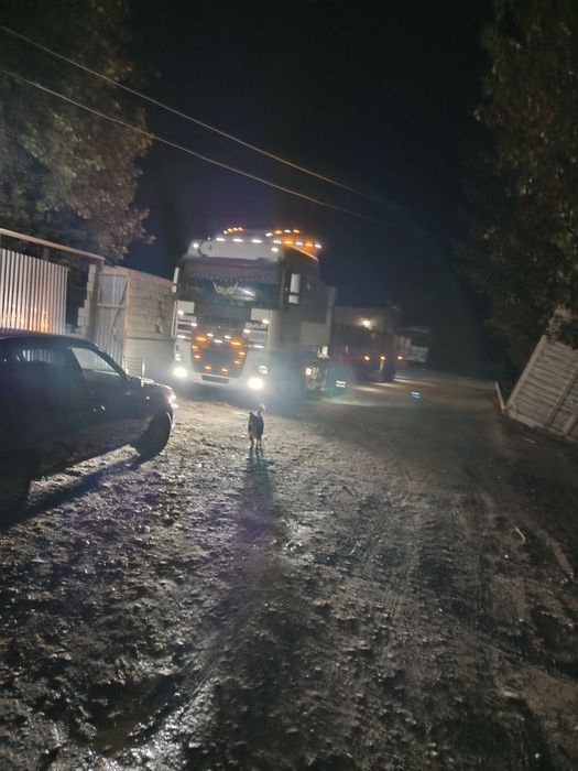 Daf yeuro 3 sotiladi