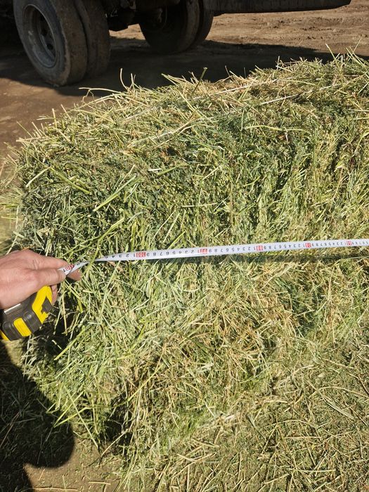 Сено, шоп. Жонышка , люцнрна