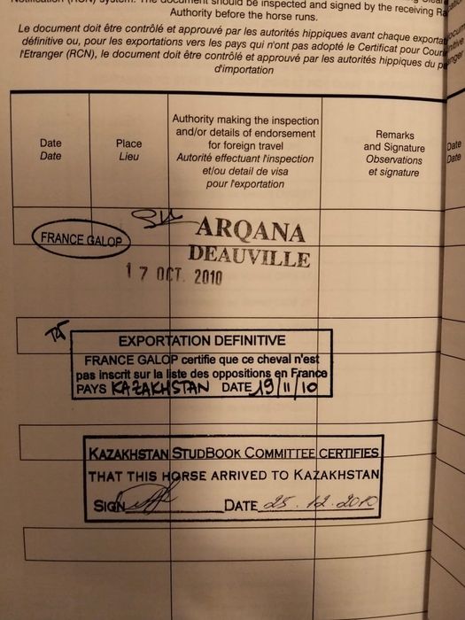 Таза қаңды байтал сатамын