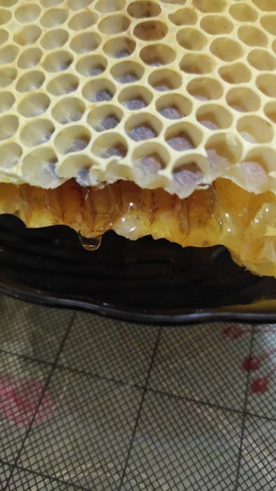 Продам Мёд с личной пасеки