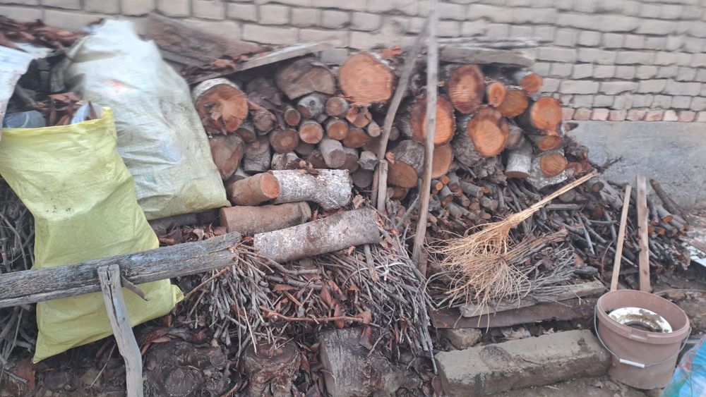 Утин сотилади кизиканларга