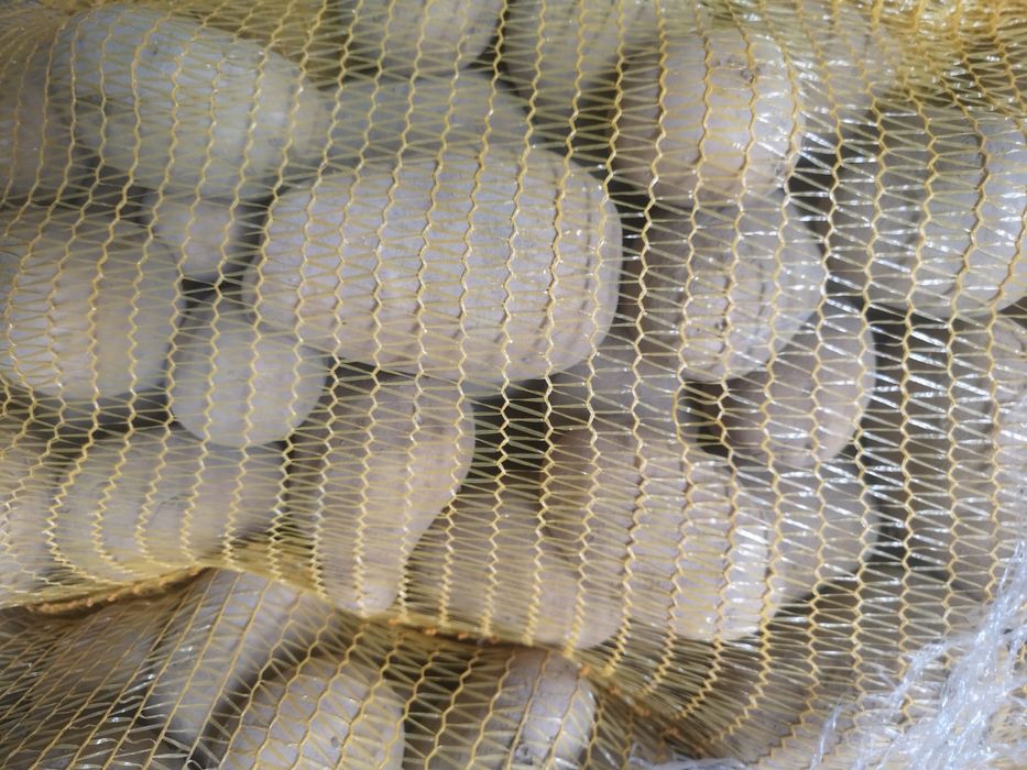 De vanzare! Mere, cartofi, ceapa galbena, ceapa rosie, varza