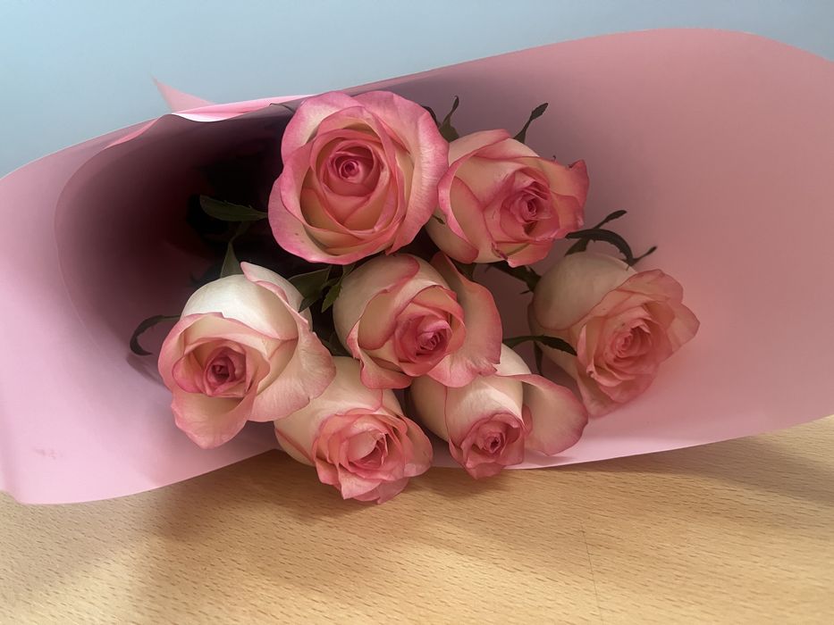 Цветы роза 7 штук )свежие