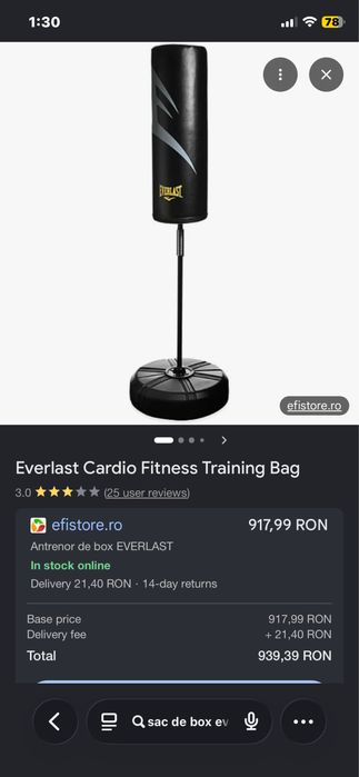 Sac de box Everlast