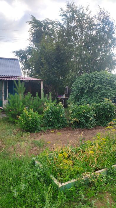 Продам дачу в Коянды