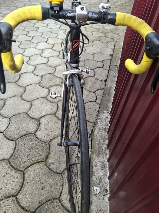 Cursiera Campagnolo Vektor