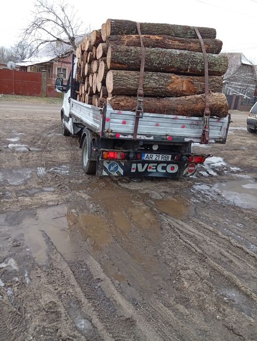 Lemne de foc fag esență tare