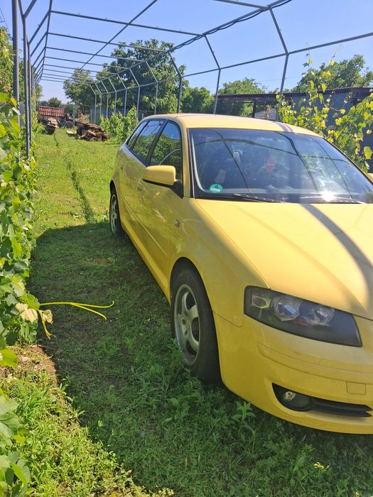 Vand Audi A3 8P 2005