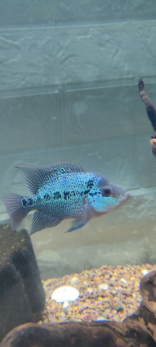 Продам аквариум комплект