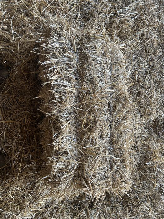 Пшеничная солома