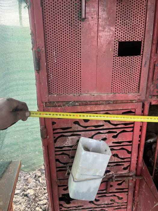 Vând cușcă de iepuri