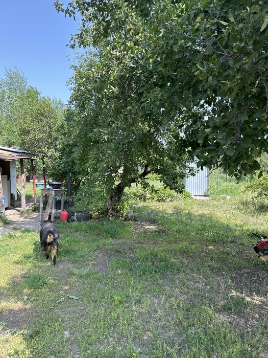 Дача телецентр Волна (2 участка)