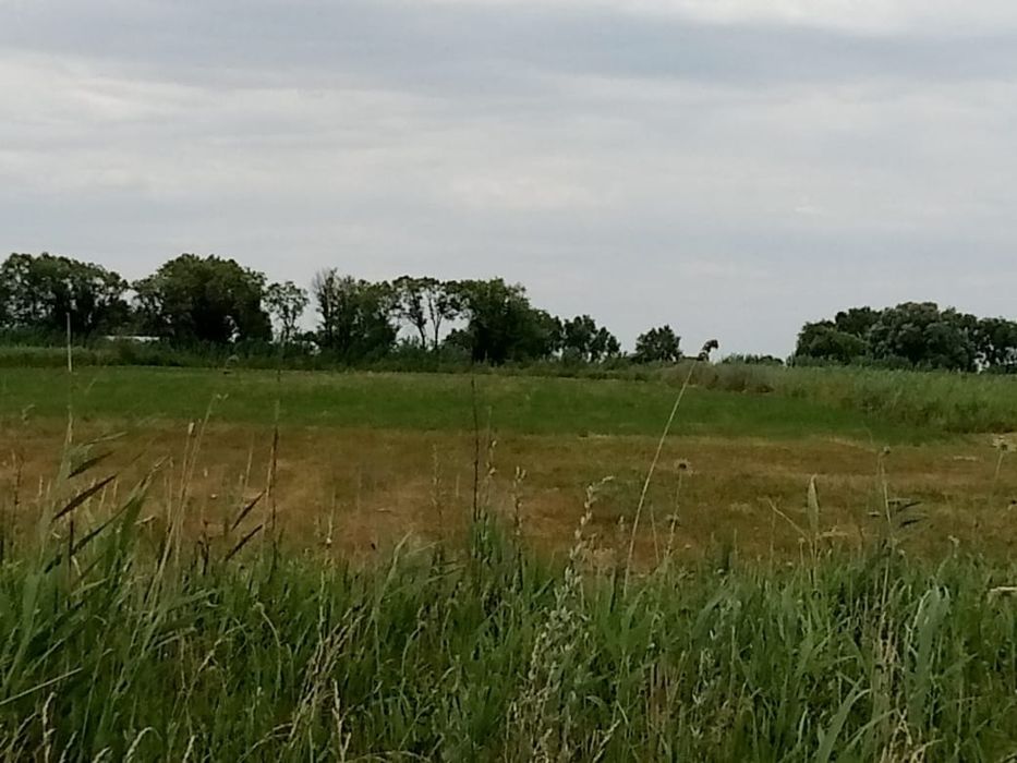 Продам или сдам в аренду участок